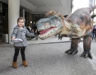 Jurassic Kingdom Jurassic Kingdom