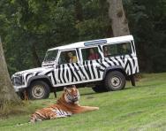 Longleat reviewed for parents and families