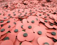 10 ways to remember the First World War with your child