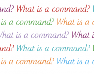 What is a command?