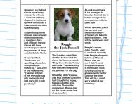Fact and opinion in a newspaper article worksheet