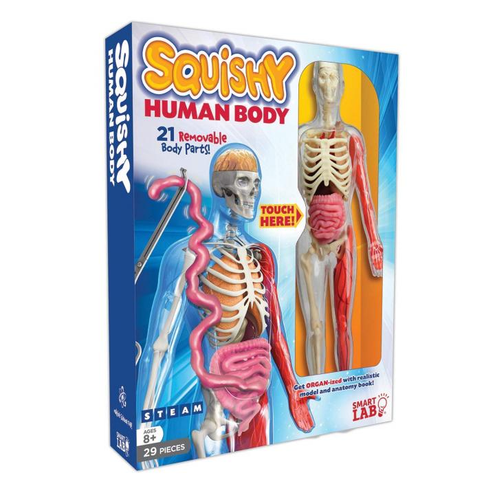 SmartLab Squishy Human Body