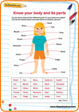 know your body shape quiz