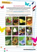 Be a butterfly spotter worksheet