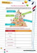 The effects of a healthy diet worksheet