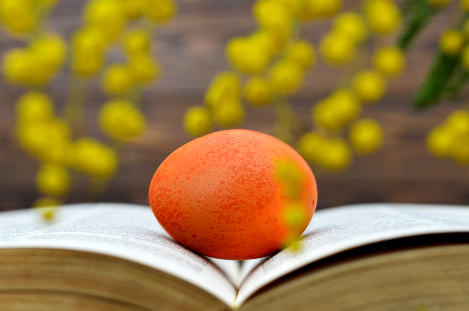 Best Easter books for children