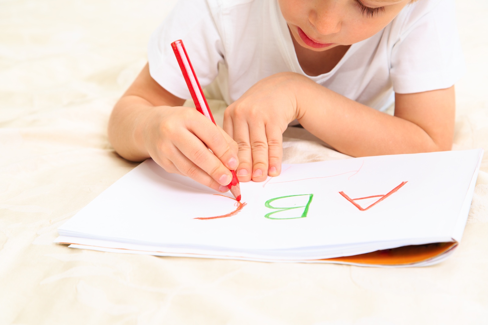 Legalities Of Home Education In The Uk Home Education Law In The