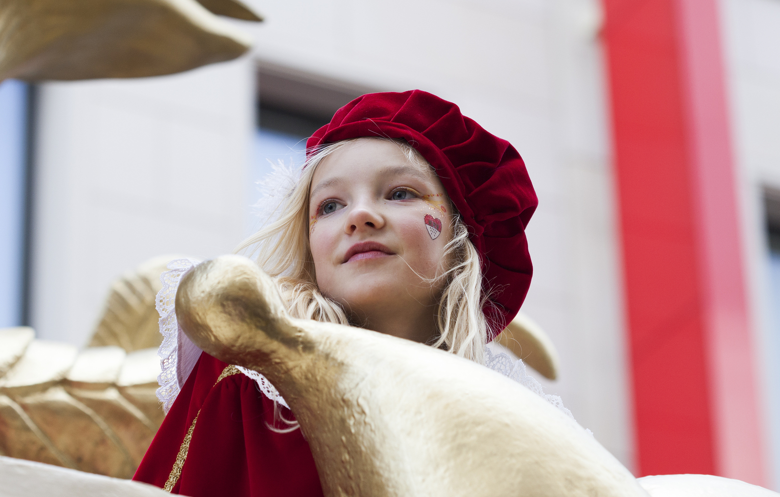 Kids Medieval Viking Girl Childrens Book Week Girls Fancy Dress Costume Outfit 