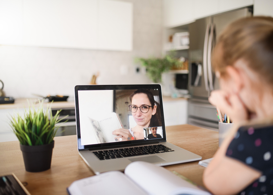 Online tutoring in a virtual classroom – how to identify your style -  Vedamo Blog