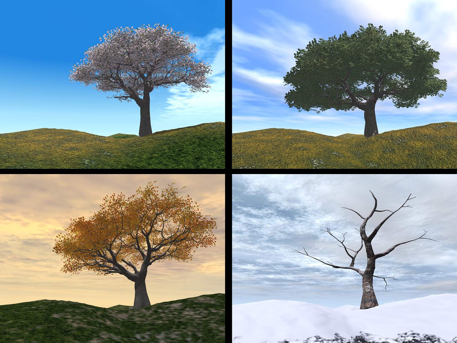 The 4 Seasons