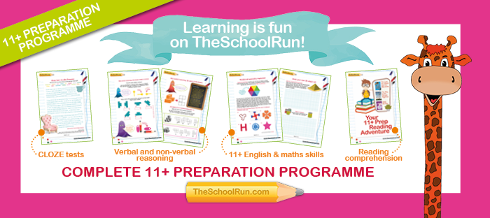 11+ summer programme