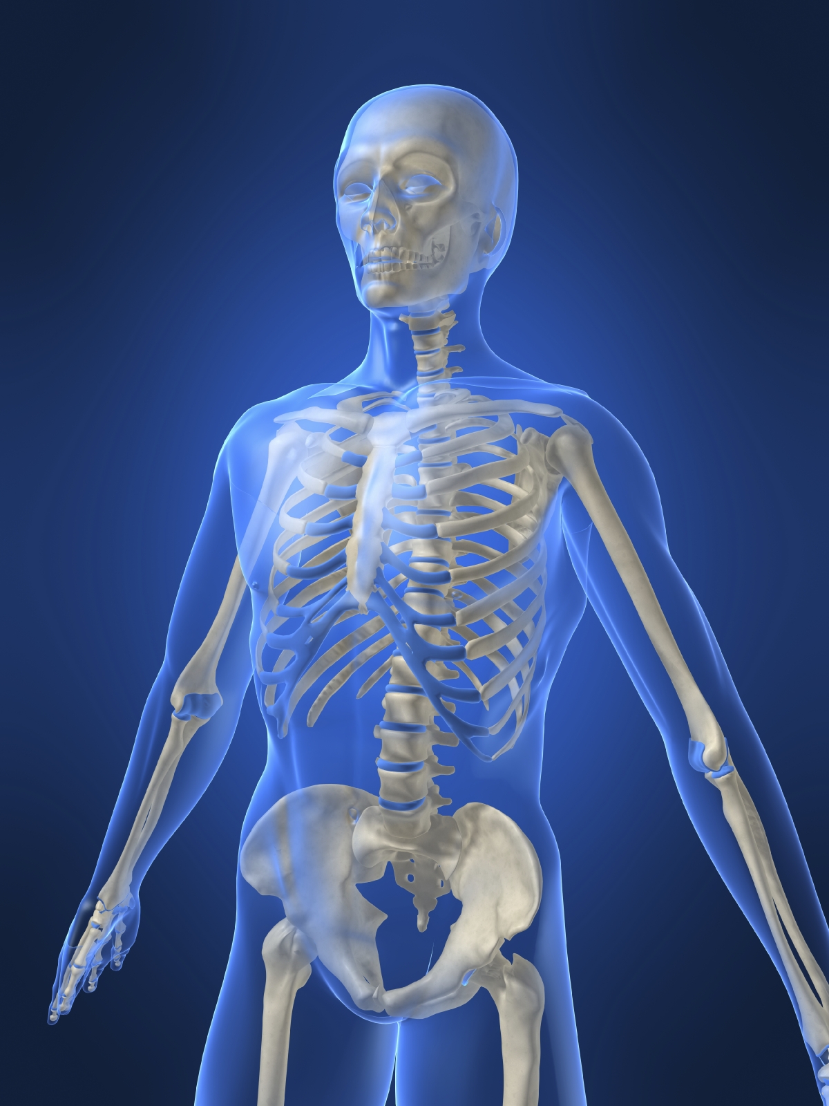 Bones and muscles homework help | Skeleton and muscular ...