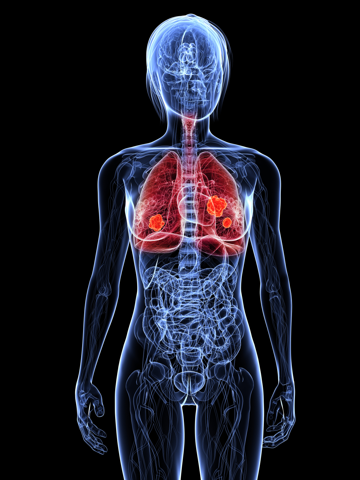 Human respiratory system | TheSchoolRun