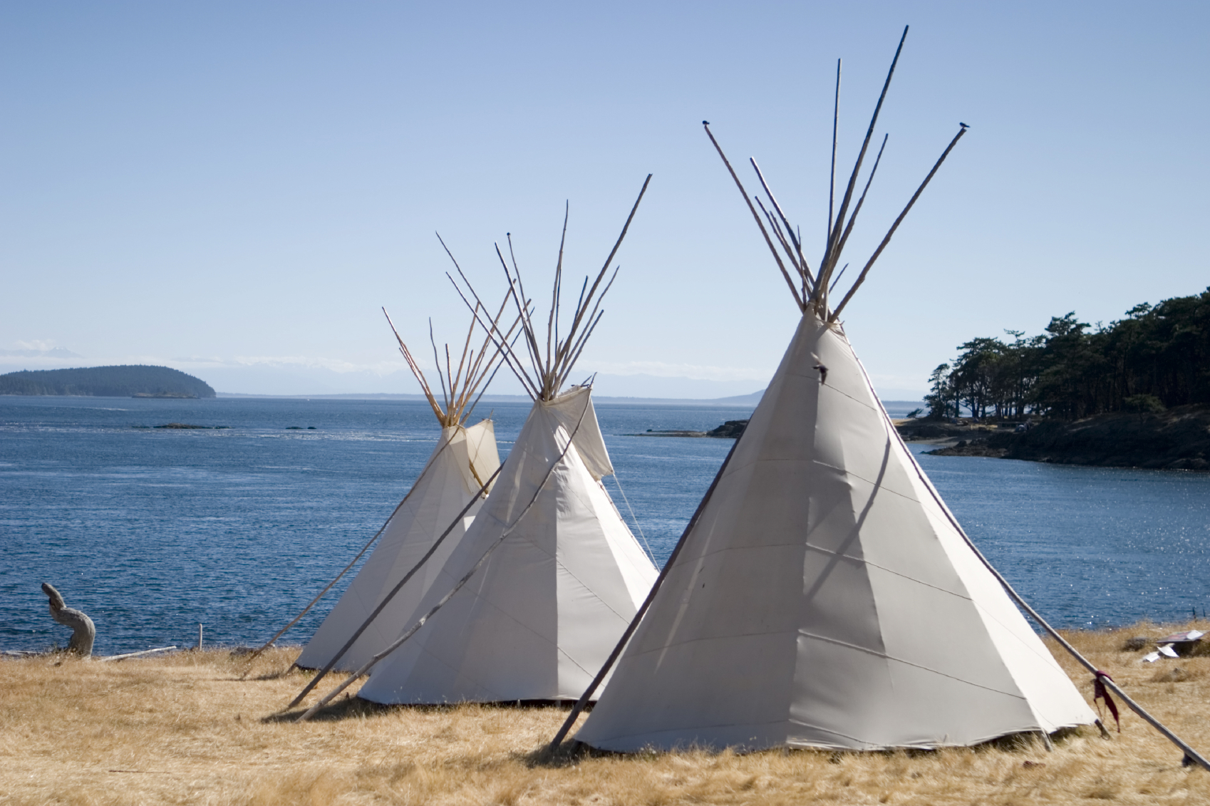 Native american homework help