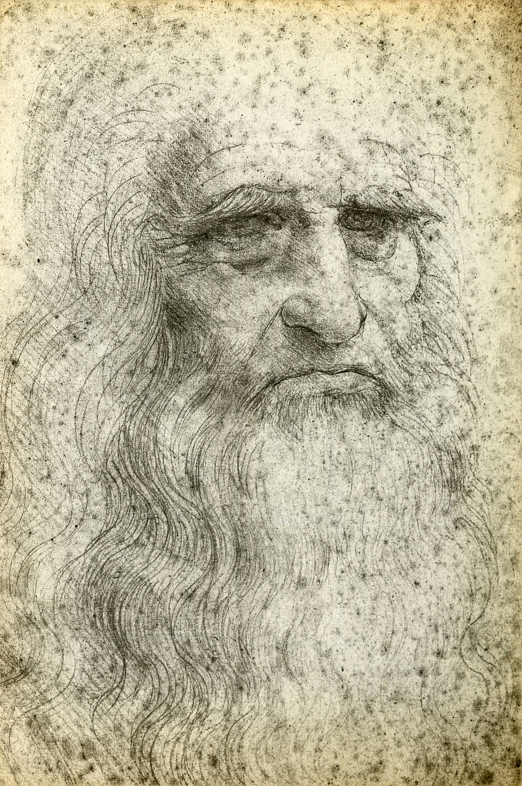 leonardo da vinci paintings and drawings