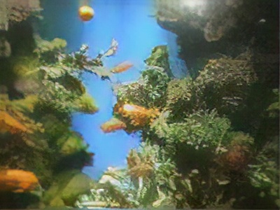 Marine habitats