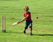 Boy playing cricket Boy playing cricket
