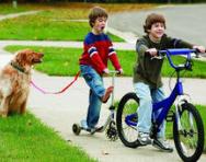 Brothers riding their bikes Brothers riding their bikes