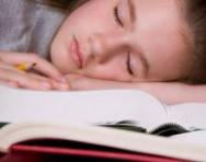 Child asleep on their desk Child asleep on their desk