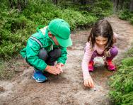 DIY Forest School activities DIY Forest School activities