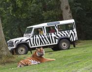 Longleat reviewed for parents and families Longleat reviewed for parents and families
