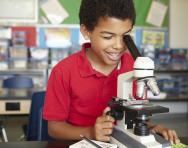 Education in the UK regional differences Education in the UK regional differences