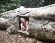 Kew Gardens for families © Kew Gardens Kew Gardens for families © Kew Gardens