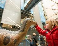 World Museum Liverpool girl and dinosaur © Mark McNulty World Museum Liverpool girl and dinosaur © Mark McNulty