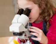 Little girl looking at flower through microscope Little girl looking at flower through microscope