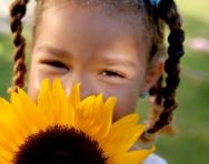 Little girl with sunflower Little girl with sunflower
