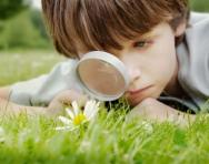Little boy studying flower Little boy studying flower