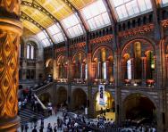 Natural History Museum London Natural History Museum London