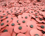 10 ways to remember the First World War with your child 10 ways to remember the First World War with your child
