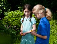 Specific Language Impairment explained for parents Specific Language Impairment explained for parents