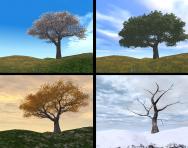 The four seasons: spring, summer, autumn, winter The four seasons: spring, summer, autumn, winter