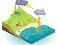 Water cycle illustration Water cycle illustration