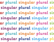 What are singular and plural? What are singular and plural?
