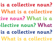 What is a collective noun? What is a collective noun?