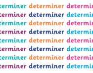 What is a determiner? What is a determiner?