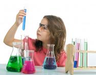 What is a fair test? What is a fair test?