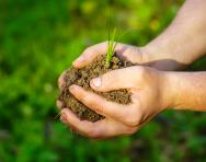 What is alternative provision? What is alternative provision?