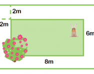 What is area? What is area?