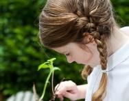 EYFS science EYFS science