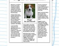 News Current Affairs For Kids Kids News Programmes Newspapers