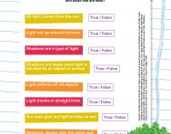 media term paper guidelines uni due