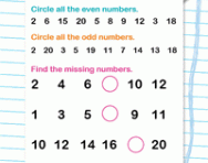 Definition of odd and even numbers for primary-school ...