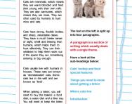 Paragraphs explained for KS2 parents | How to use paragraphs | TheSchoolRun
