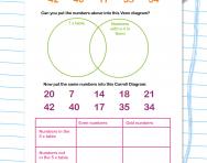 carroll diagrams explained for primary school parents