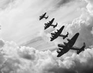 World war 2 facts homework help
