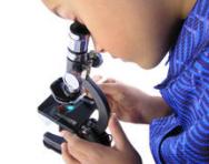 Boy using microscope